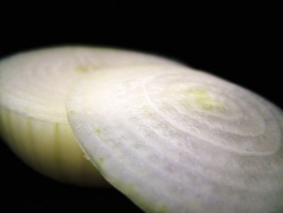 Zalane pola – siać cebulę w marcu czy lepiej poczekać