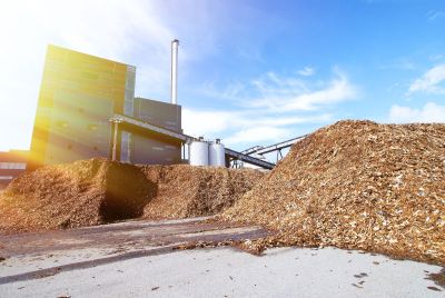 Biomasa i biogaz, czyli energia odnawialna w rolnictwie
