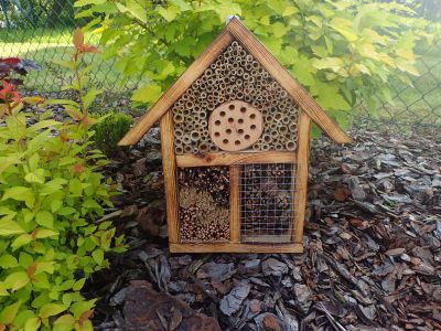 Hotele dla owadów – ważny element ochrony bioróżnorodności w ogrodzie