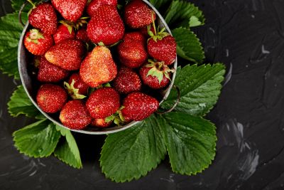 Owoce truskawki po biostymulacji – jędrne, duże i intensywnie wybarwione