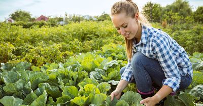 Ekologiczna uprawa warzyw – trudny sposób, ale wart wysiłku