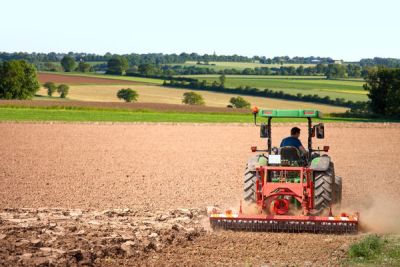 Czym jest „stała praca” w gospodarstwie rolnym
