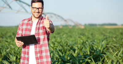 Sprawdź, jak zadbać o jakość kiszonki z kukurydzy
