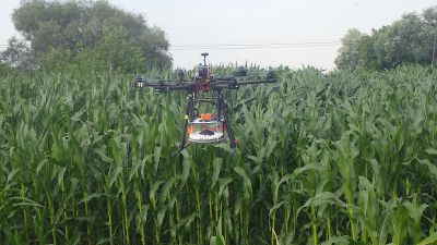 Wykorzystanie dronów w rolnictwie