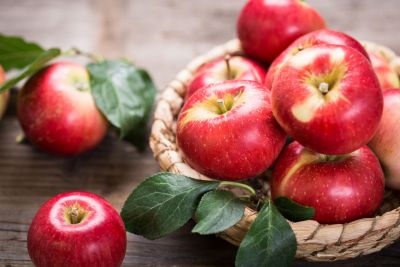 Ile kosztuje zwalczanie szkodników w sadach w okresie zbiorów jabłek