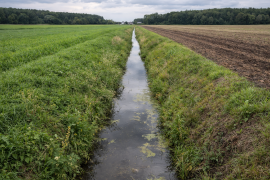 Rowy melioracyjne – przepisy, ewidencja i legalizacja krok po kroku