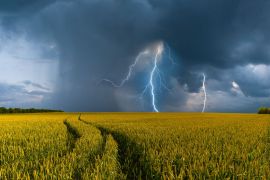 Zniszczone pole uprawne po ulewnych deszczach – skutki ekstremalnej pogody w rolnictwie w 2025 roku