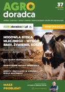 okladka srk37
