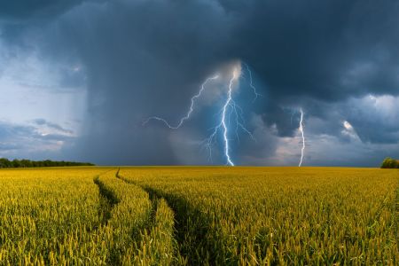 Zniszczone pole uprawne po ulewnych deszczach – skutki ekstremalnej pogody w rolnictwie w 2025 roku