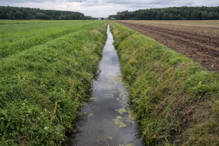 Rowy melioracyjne – przepisy, ewidencja i legalizacja krok po kroku